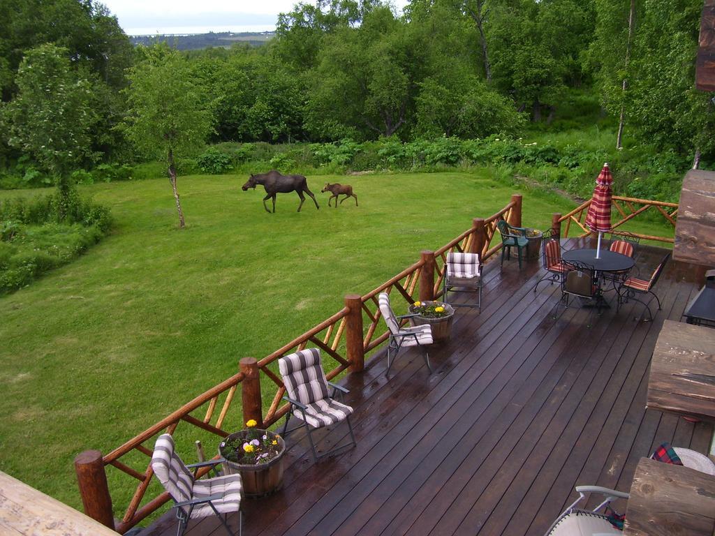Juneberry Lodge Хомер Экстерьер фото