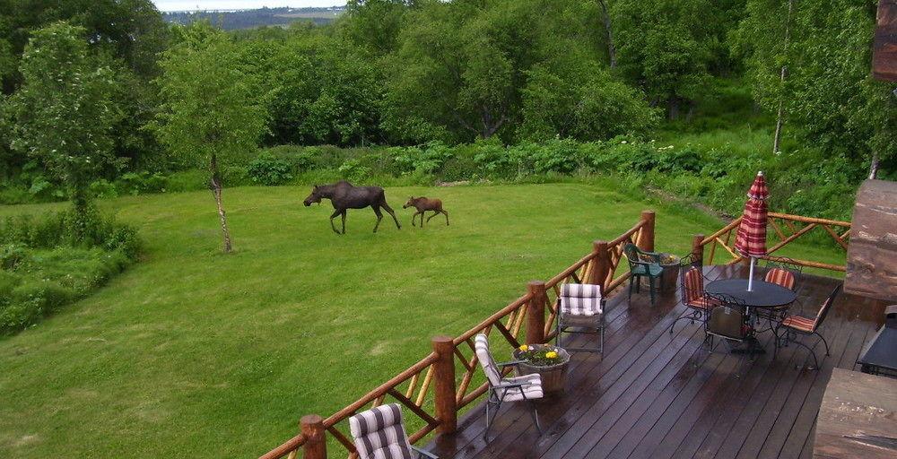 Juneberry Lodge Хомер Экстерьер фото