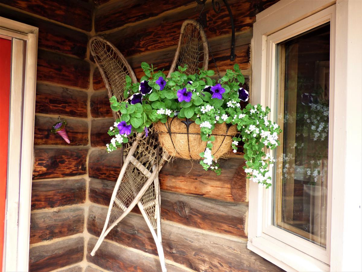 Juneberry Lodge Хомер Экстерьер фото