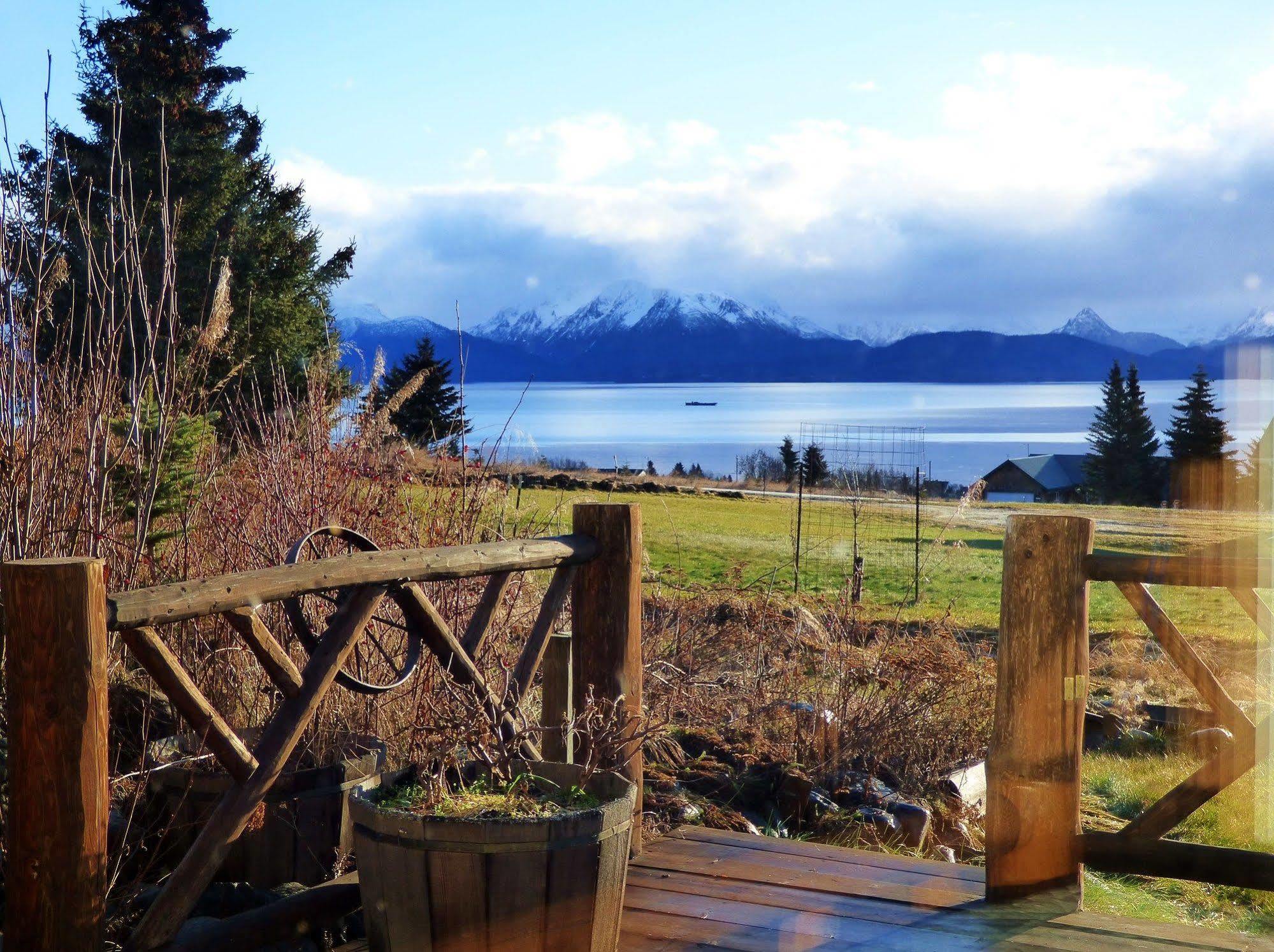 Juneberry Lodge Хомер Экстерьер фото